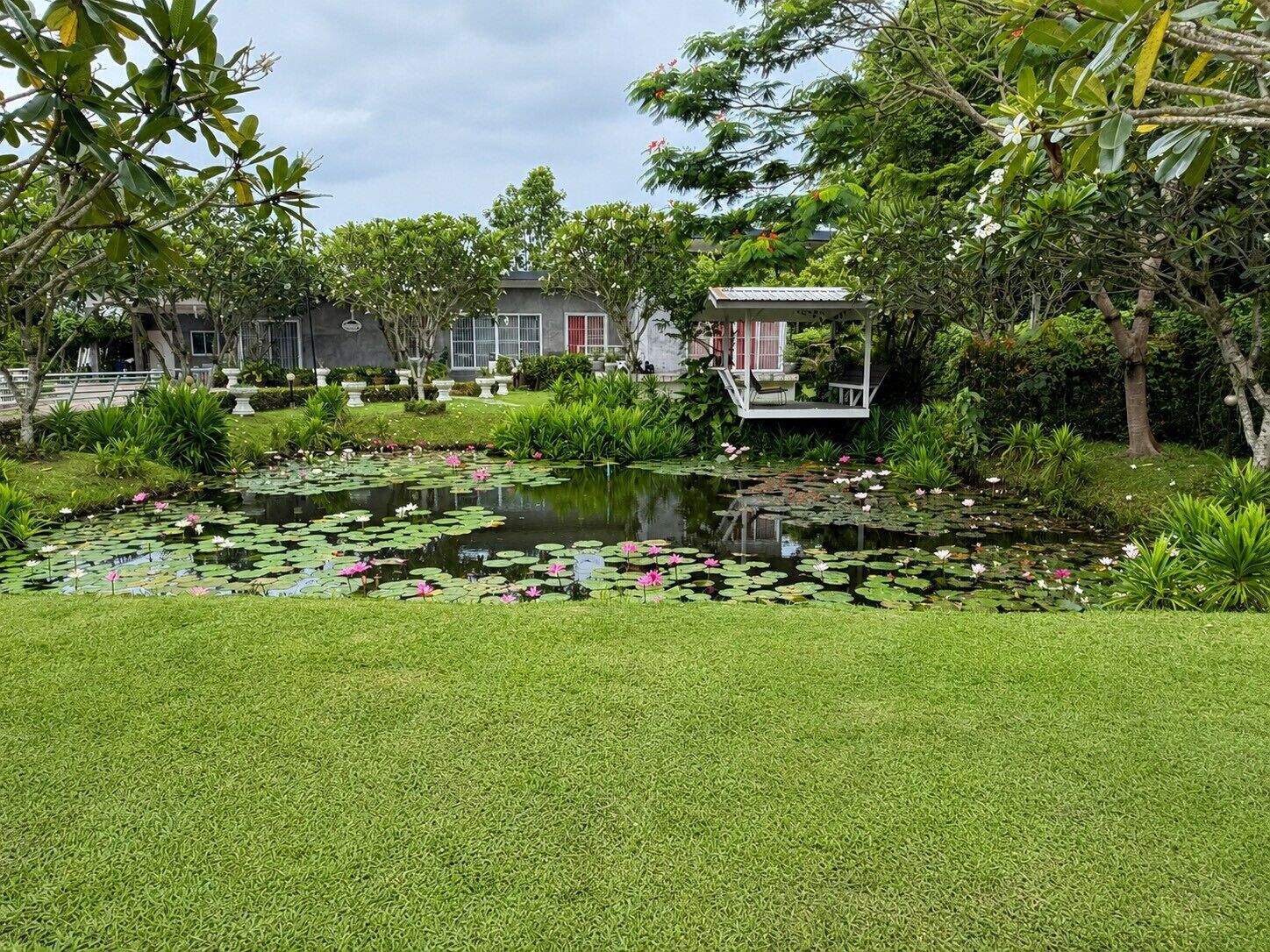 Vue sur le jardin