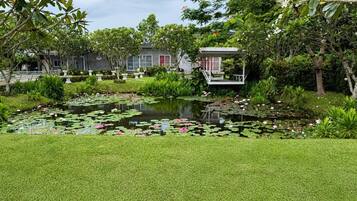Vue sur le jardin