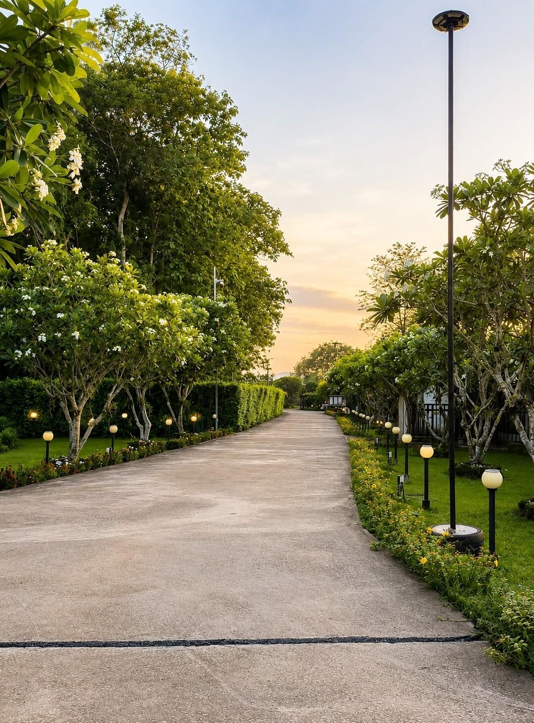 Un sendero bordeado de árboles y farolas que conduce a un edificio.