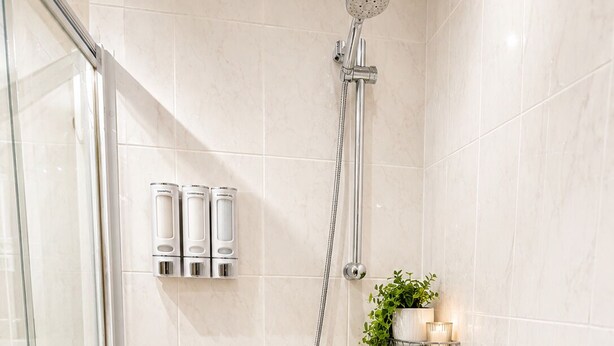 Ein Duschbereich mit Glastür, Handbrause, am Wand montierter Armatur und Ablage mit Pflegeprodukten und Pflanze.