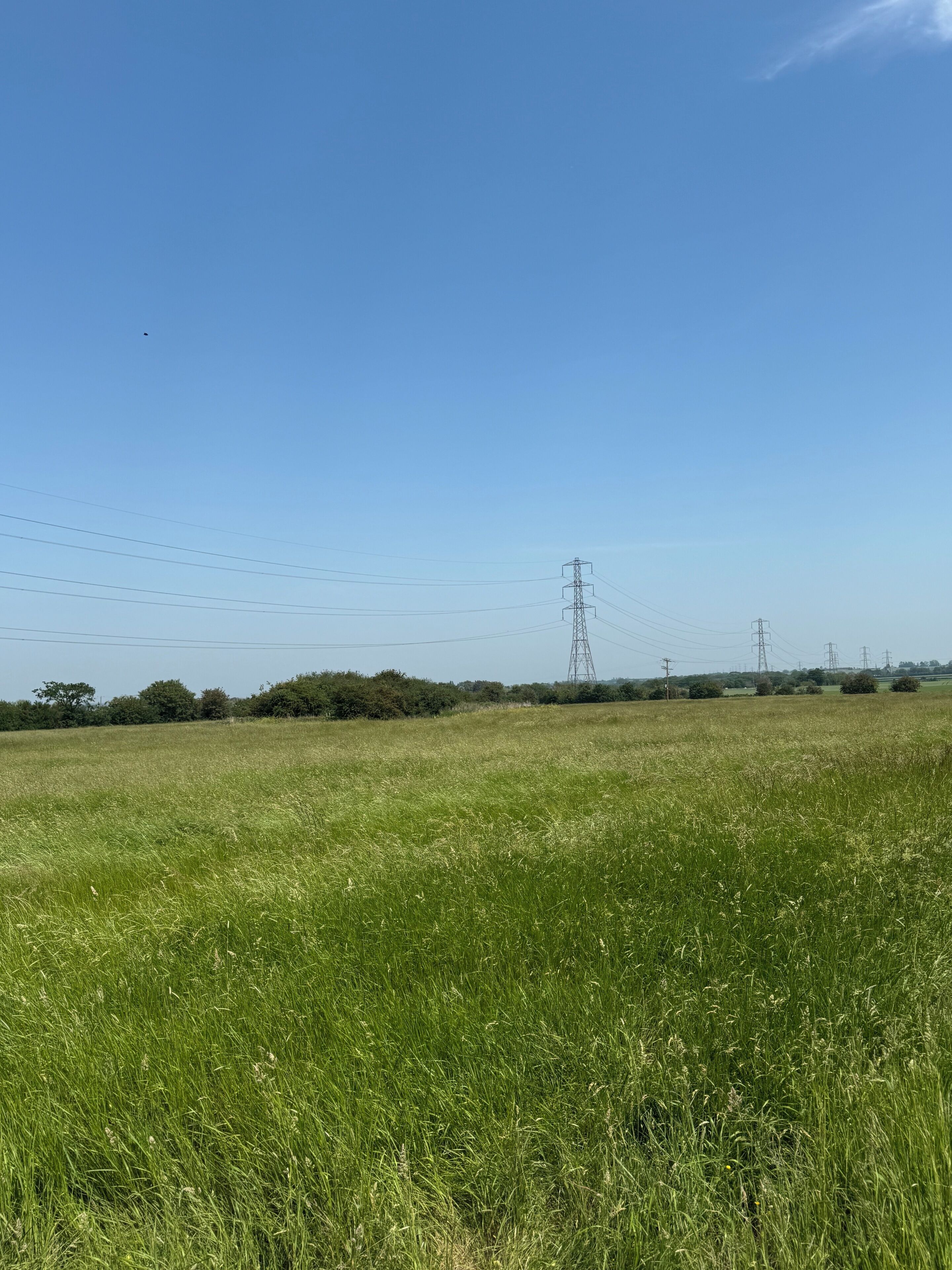 Um campo gramado com linhas de energia e torres de transmissão ao longe.