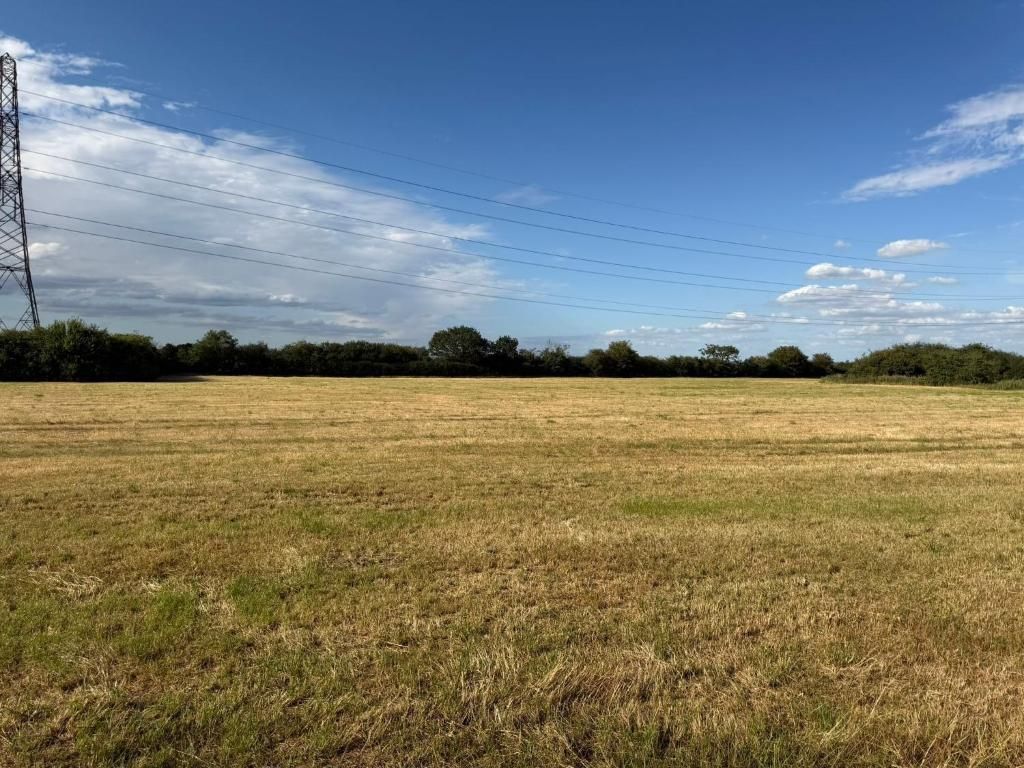 A wide-open field with a power line tower in the distance.