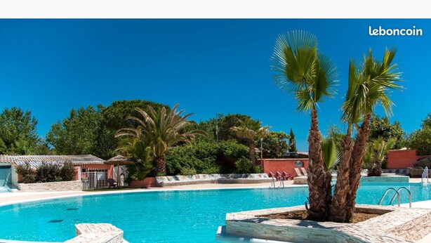 Une piscine bordée de palmiers, sous un ciel bleu azur.