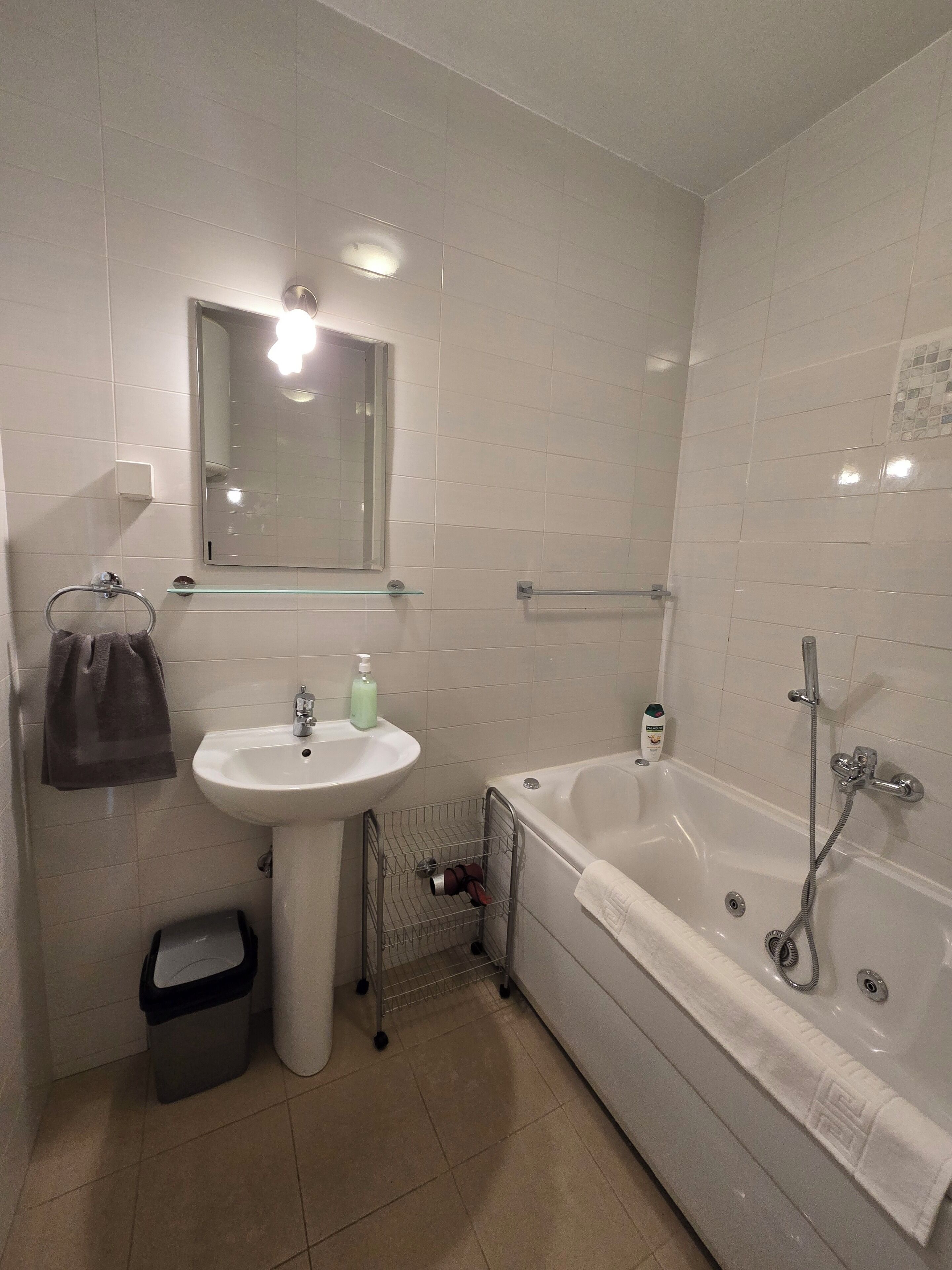 Een badkamer met een wastafel, spiegel, handdoekhouder, prullenbak en een bad met douchekop.
