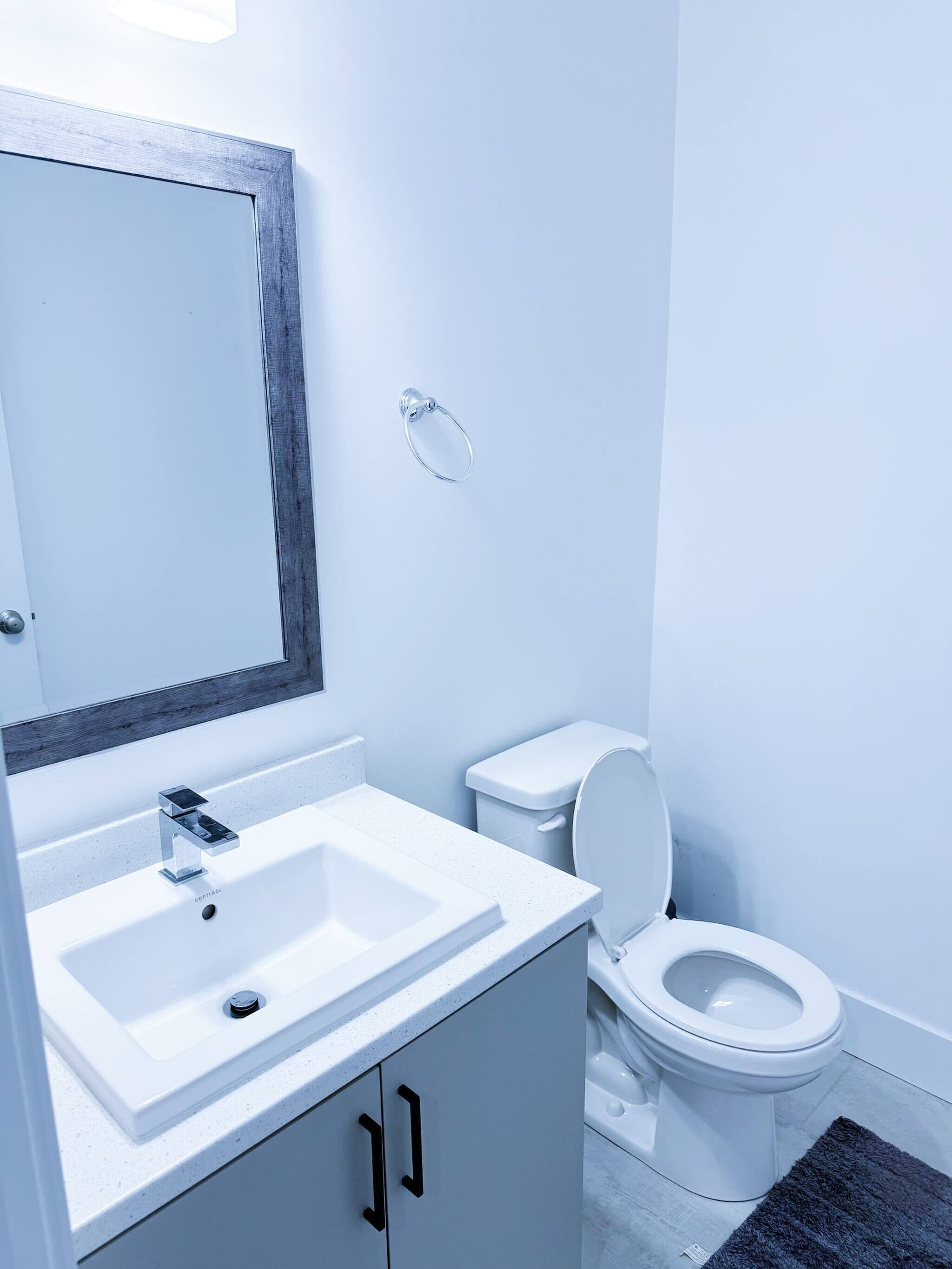 A bathroom with a white sink, a mirror, a toilet, and a dark rug.