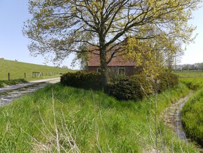 A rural house with a red-tiled roof, surrounded by lush greenery and a narrow path. - Dike house with a view (Wilhelmshaven)