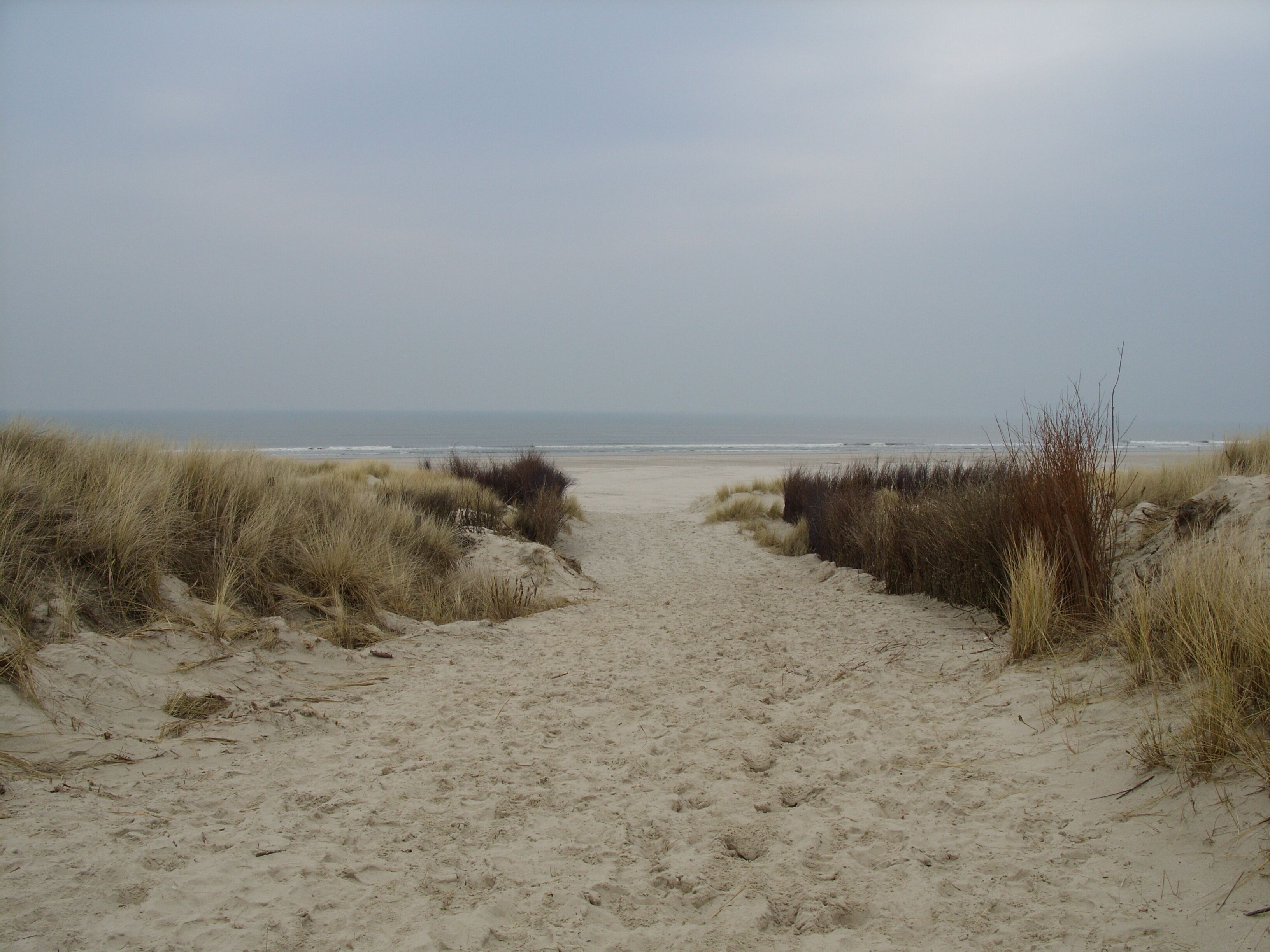 Playa
