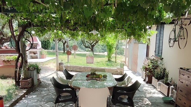 Un patio al aire libre con una mesa y sillas, rodeado de follaje y plantas en macetas.
