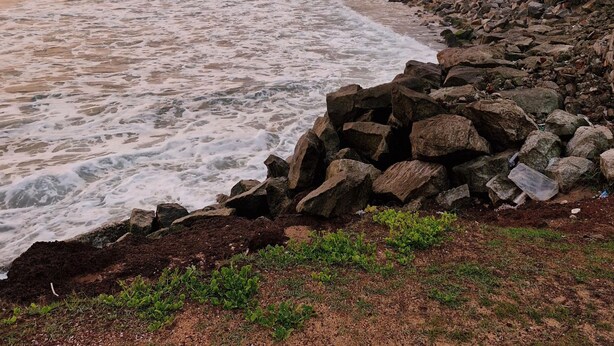 Un paysage côtier avec une rive rocheuse, des palmiers et un bâtiment doté d’un toit en pente.
