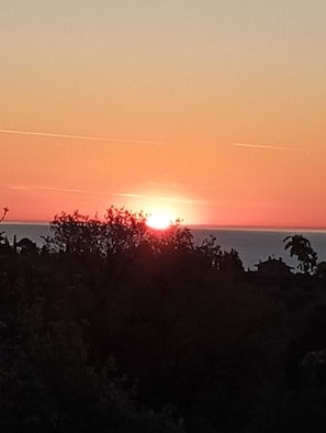 Auringonlasku vesistön yllä, etualalla näkyy puiden ja rakennusten siluetteja.