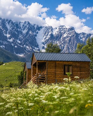 A wooden cabin with a metal roof, surrounded by a lush green field and mountains in the background.