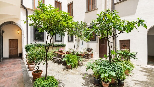 Une cour avec des plantes en pot, une table en bois et des chaises.