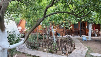Terraço/pátio