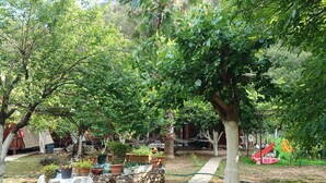 Un jardín con un sendero de piedra, plantas en macetas, una gallina blanca y una zona de juegos para niños.