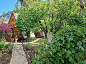 A wooden cabin with a stone pathway leading to the entrance, surrounded by lush greenery and flowering plants.