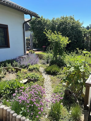 Un jardín con diversas plantas y flores, un muelle de madera y una casa de fachada blanca con una ventana.