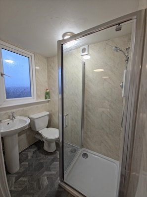 A bathroom with a glass-enclosed shower, a toilet, and a sink.