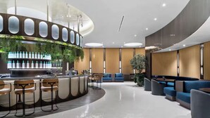 Eine moderne Lounge mit gebogener Bar, Sitzgelegenheiten und einer großen Pflanze.