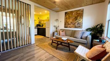 Smart TV, chimenea y libros