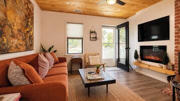 Smart TV, fireplace, books