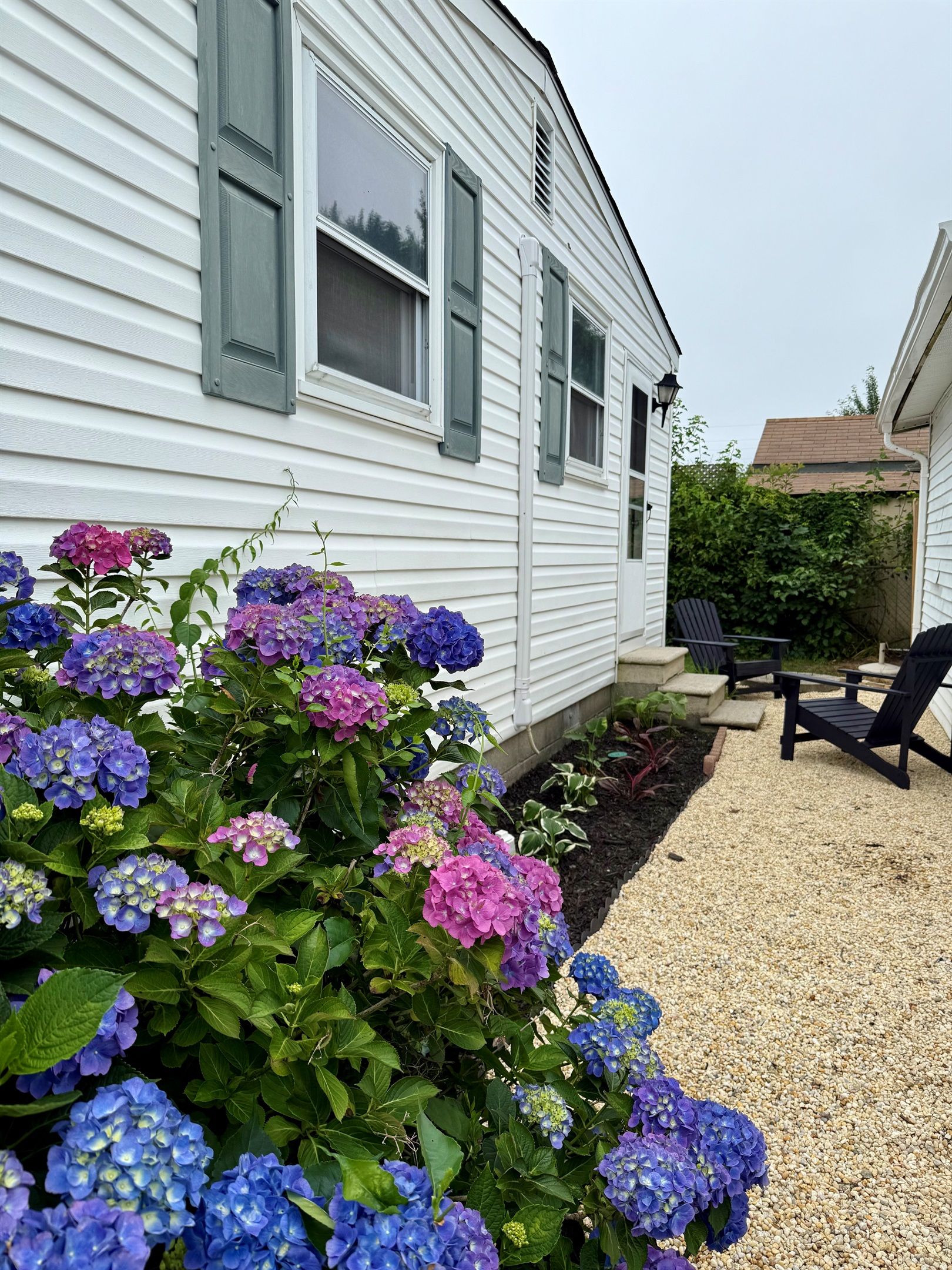 A white house with green shutters, a gravel patio, and a garden with hydrangea flowers.