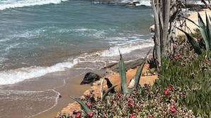A beach with waves, a tree, and desert plants. - Anastasia Suite of Sun & Sea | Bright & Comfy Cretan Getaway (Vathianos Kampos)
