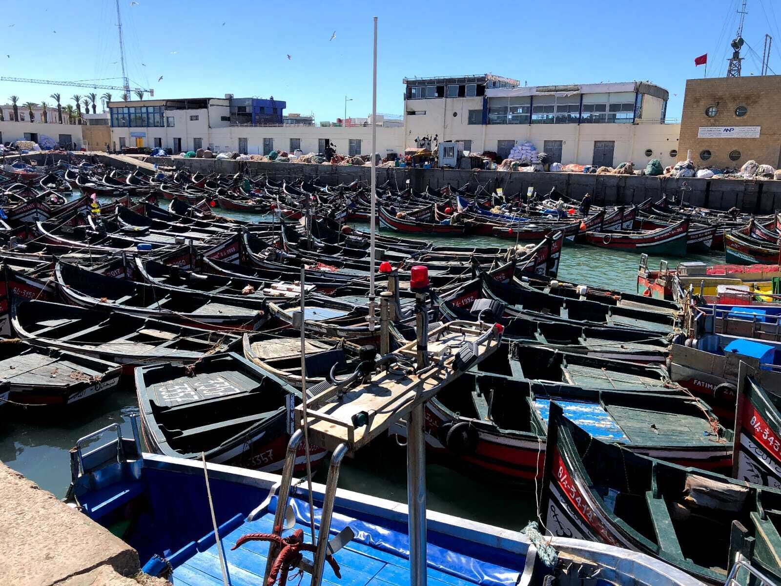 A marina with numerous boats docked, a clear sky, and buildings in the background.