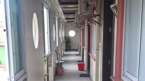 Um corredor com piso de azulejos, plantas em vasos e um ventilador de teto.