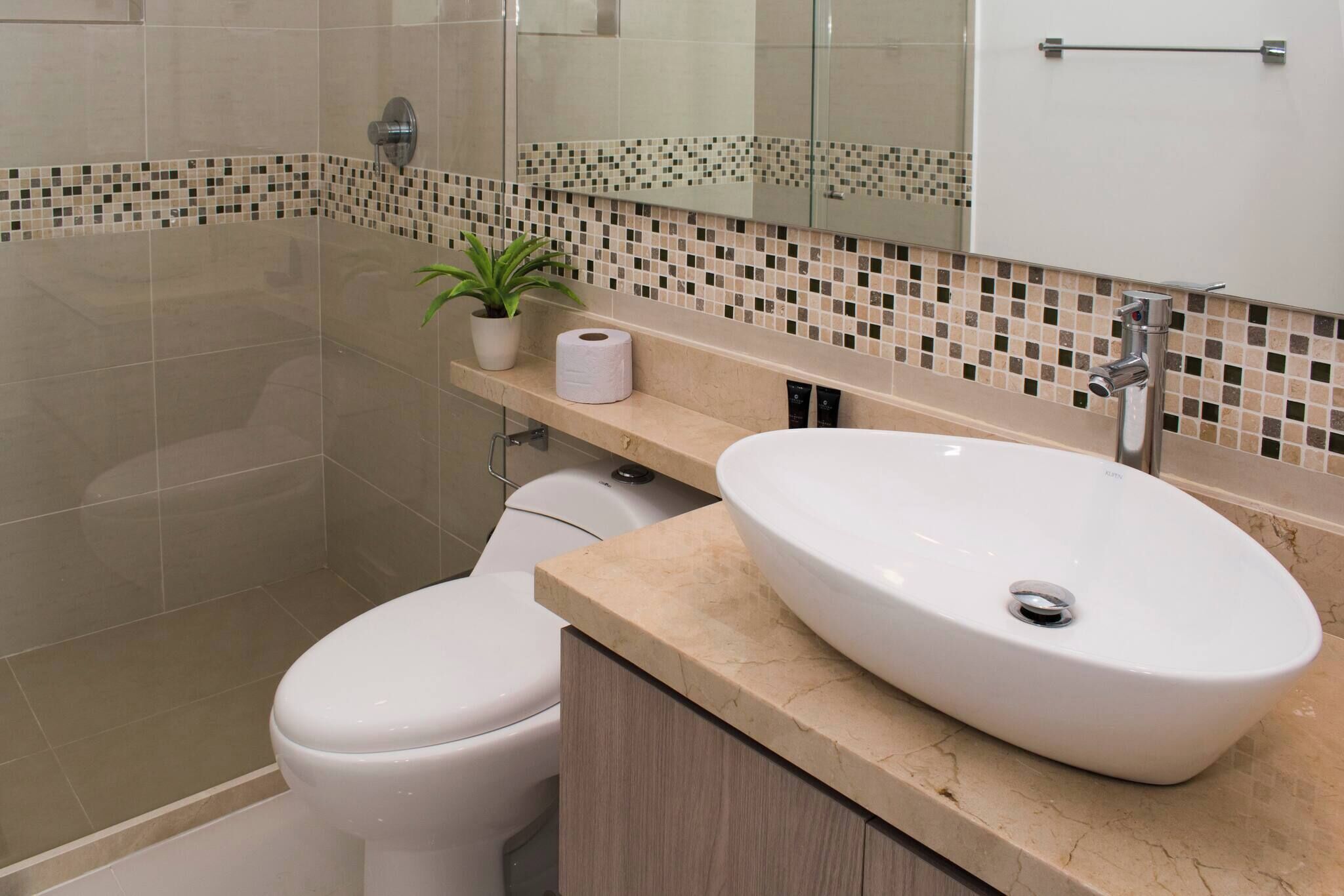 A bathroom with a toilet, a sink, a mirror, and a small plant.