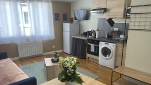 Une chambre d’hôtel compacte comprenant un lit, une petite table avec une plante, une kitchenette équipée d’un lave-linge et un téléviseur fixé au-dessus du comptoir.