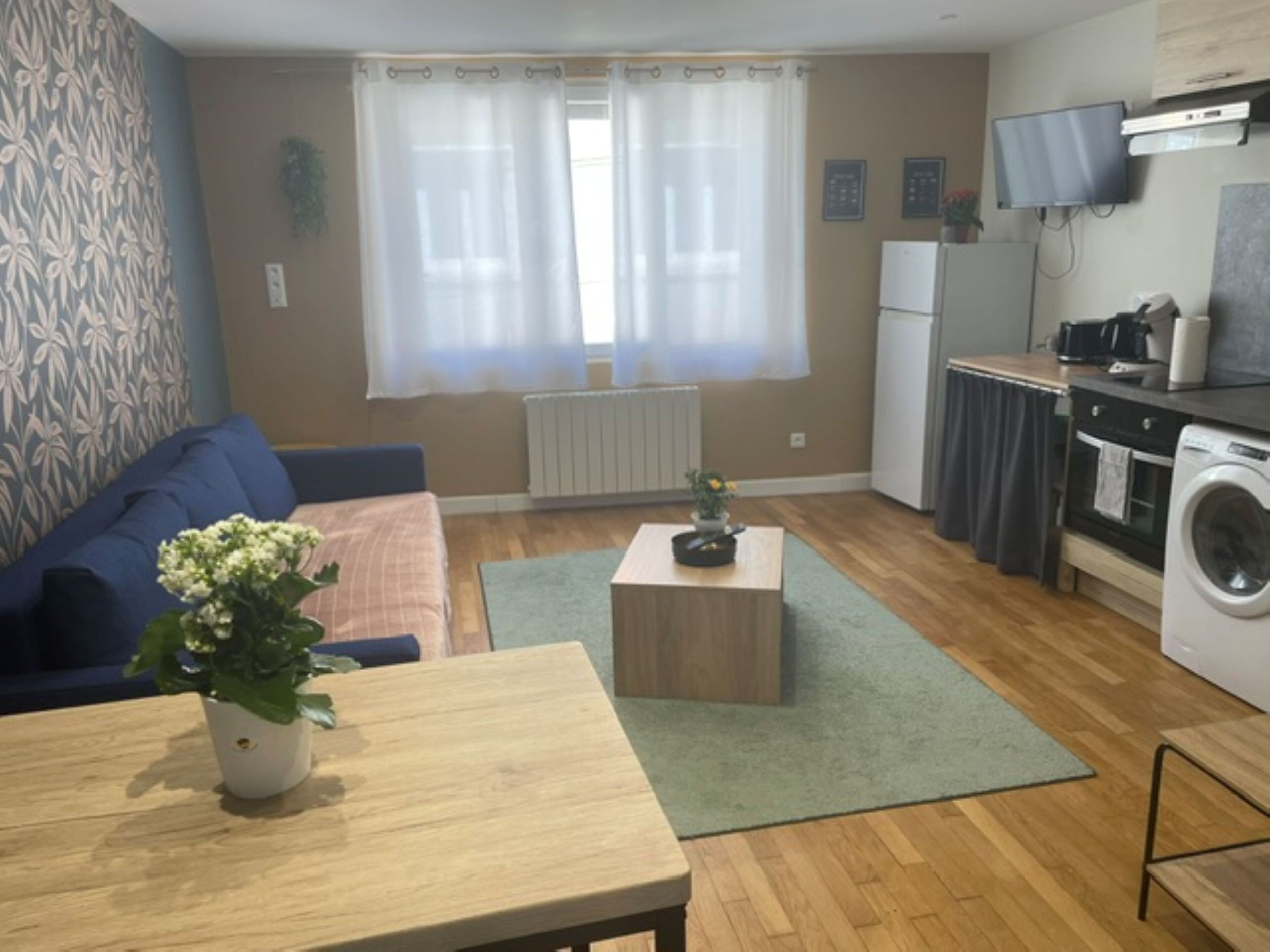 Un espacio habitable compacto con sofá, una mesita con planta, una zona de cocina con lavadora y un televisor montado en la pared.