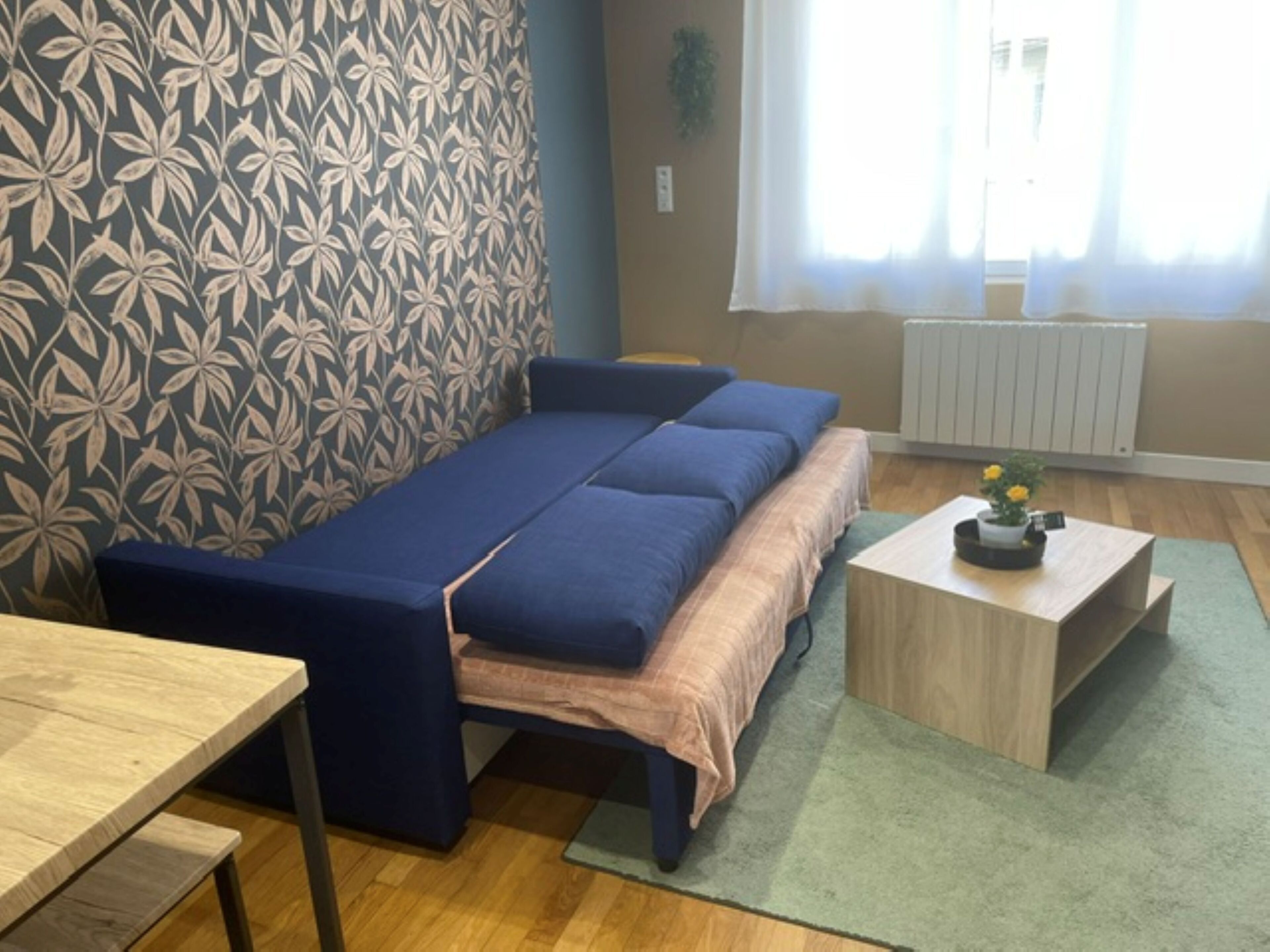 Een kamer met een slaapbank, een klein tafeltje met een plant in pot, een radiator en een raam met gordijnen.