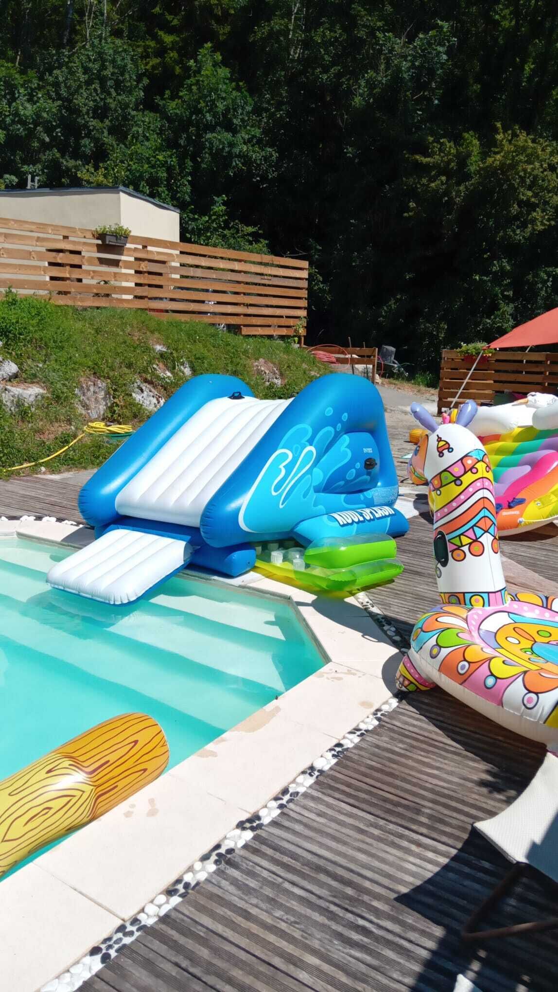 Ein aufblasbarer Pool mit Rutschen und einer bunten, aufblasbaren Tierfigur.