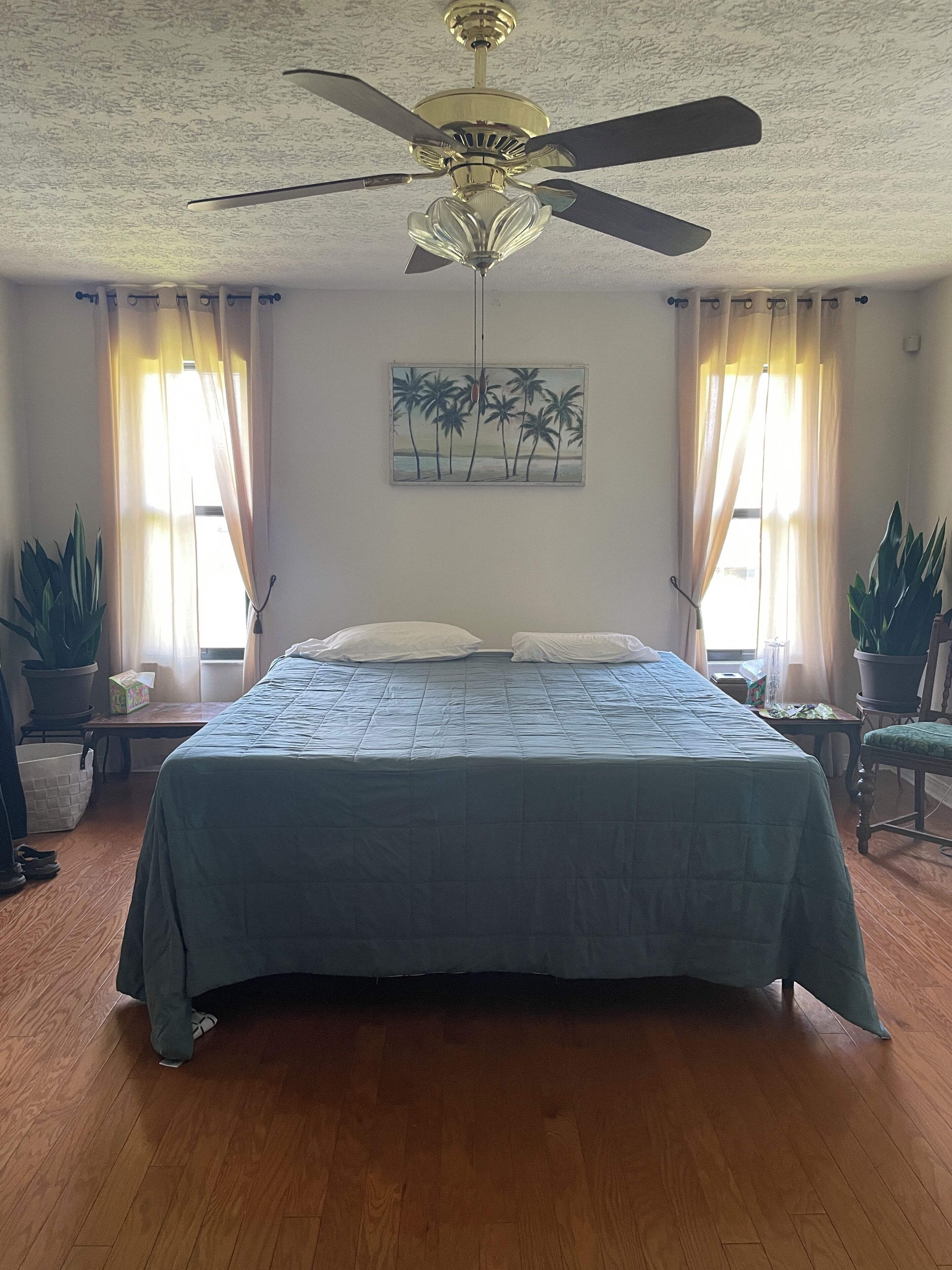 A bedroom with a bed, ceiling fan, potted plants, and a painting of palm trees.
