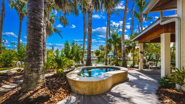 Um deck de madeira com piscina, rodeado por palmeiras e um céu azul límpido.