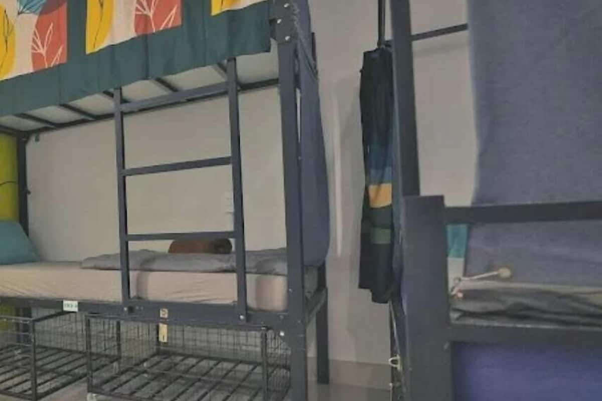A bunk bed with a colorful headboard, a small table, and a chair.