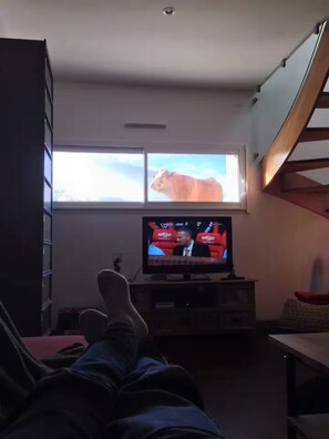 Una habitación con una televisión mostrando un noticiero, una ventana con vista a una vaca y una escalera.