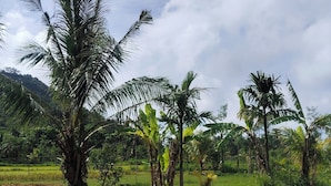 Khuôn viên nơi lưu trú