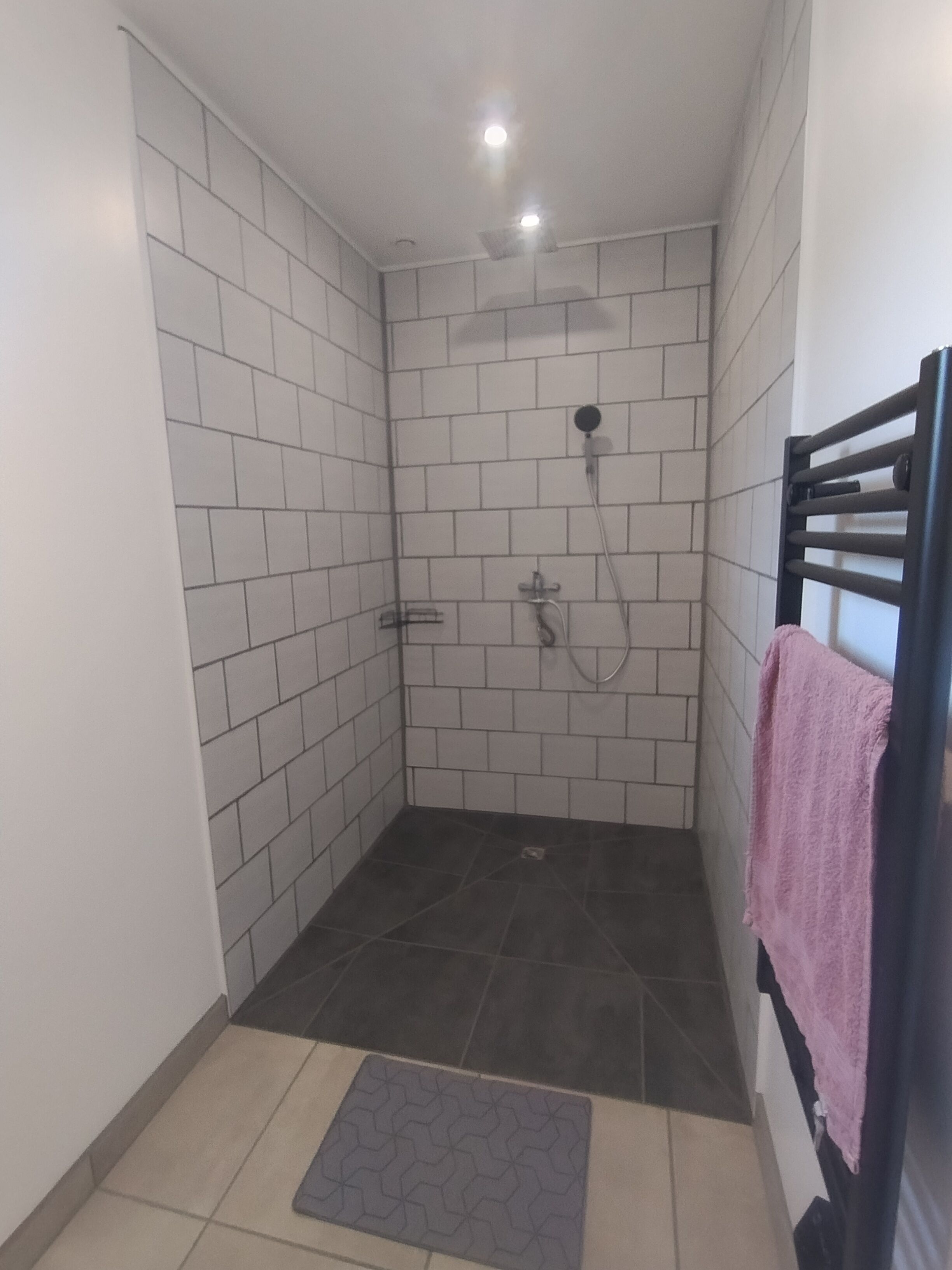 Shower, towels, soap, toilet paper