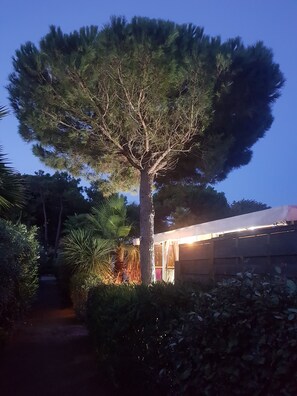 A large tree in a garden with a pathway leading to a building. - Mobile home for rent at the Plage de Pampelonne St. Tropez-Ramatuelle (Saint-Tropez)