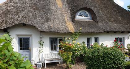 Old post station from 1857. Romantic thatched cottage, half of the house. Dog friendly!