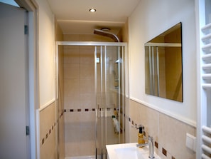 A modern bathroom with a glass-enclosed shower, a white sink, and a mirror.