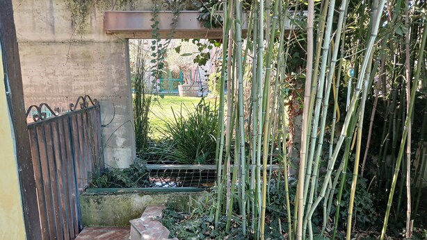 A narrow outdoor corridor with a brick pathway, a metal gate, and bamboo plants. - Les Bambous Vacation Rental, for 2 people, downtown Billom (one pet allowed) (Billom)