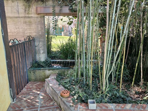 Les Bambous Vacation Rental, for 2 people, downtown Billom (one pet allowed)