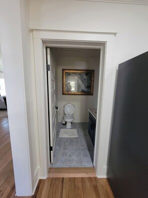 A narrow hallway leading to a bathroom with a toilet, a sink, and a framed picture on the wall.