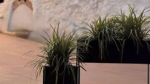A potted plant on a stand in front of a white wall. - Adelaide in collina, cosy home (Volta Mantovana)