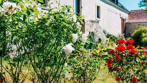 A garden with white and red flowers in front of a building. - Peace, nature and old stones (Berthenay)
