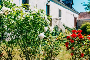 Ein Garten mit weißen und roten Blumen vor einem Gebäude.
