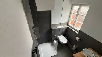 A modern bathroom with a shower, toilet, and sink.