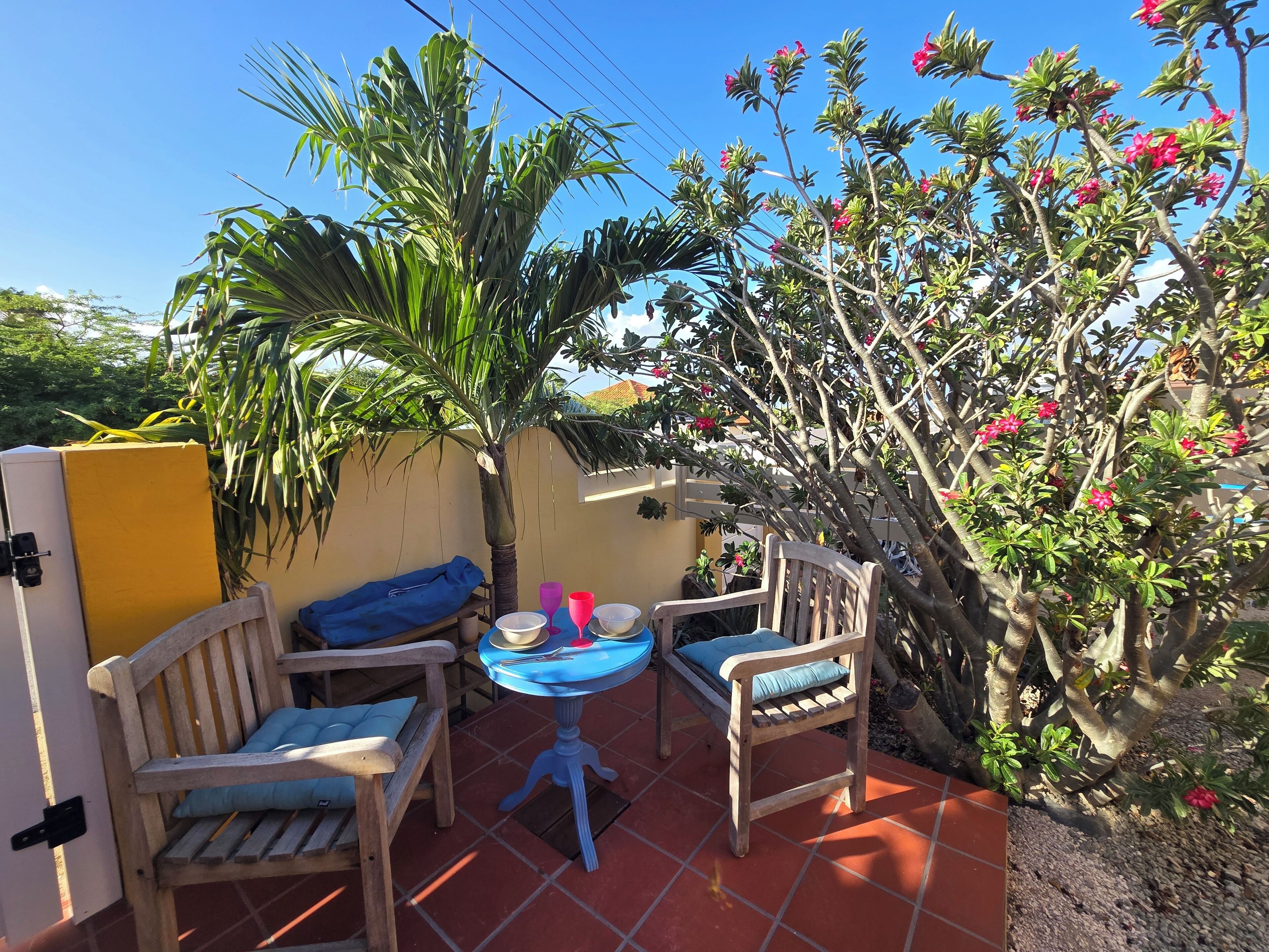 Un patio con dos sillas de madera, una mesa redonda pequeña y una planta en maceta.